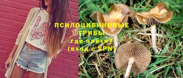 а пвп мука Алзамай