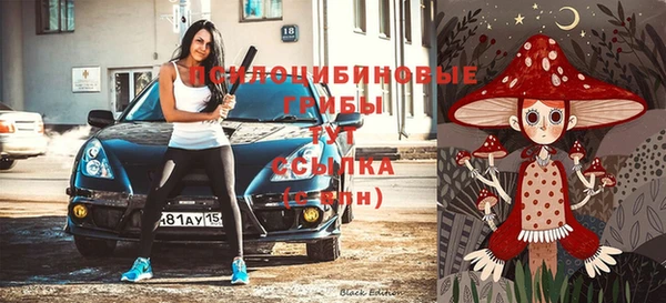 а пвп мука Алзамай