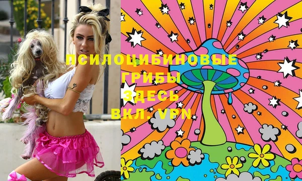 молекула духа Алексеевка
