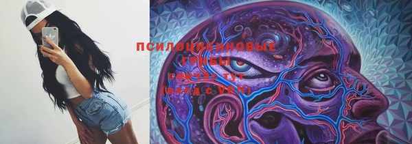 а пвп мука Алзамай
